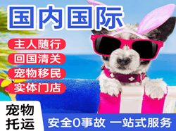 奇台江机场邮寄国际宠物托运 【国